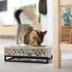 Frisco Premium Wood Elevated Stainless Steel Double Diner Dog & Cat Bowl, 3 Cup -Blue Buffalo || ROYAL CANIN || Wellness Sales 331507 PT3. AC SS1800 V1657656894