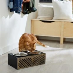 Frisco Premium Wood Elevated Stainless Steel Double Diner Dog & Cat Bowl, Black, 3 Cup 11 Frisco Premium Wood Elevated Stainless Steel Double Diner Dog & Cat Bowl, Black, 3 Cup -Blue Buffalo || ROYAL CANIN || Wellness Sales 331509 PT3. AC SS1800 V1657656894