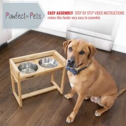 Pawfect Pets Adjustable Height Elevated Raised Dog Bowl Stand With Four Stainless Steel Bowls, Large -Blue Buffalo || ROYAL CANIN || Wellness Sales 333592 PT3. AC SS1800 V1634079424