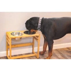 Pawfect Pets Adjustable Height Elevated Raised Dog Bowl Stand With Four Stainless Steel Bowls, Large -Blue Buffalo || ROYAL CANIN || Wellness Sales 333592 PT6. AC SS1800 V1634080928