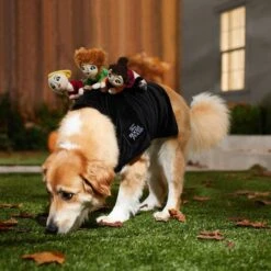 Disney Hocus Pocus Ride-On Sanderson Sisters Dog & Cat Costume -Blue Buffalo || ROYAL CANIN || Wellness Sales 334711 PT8. AC SS1800 V1660069162