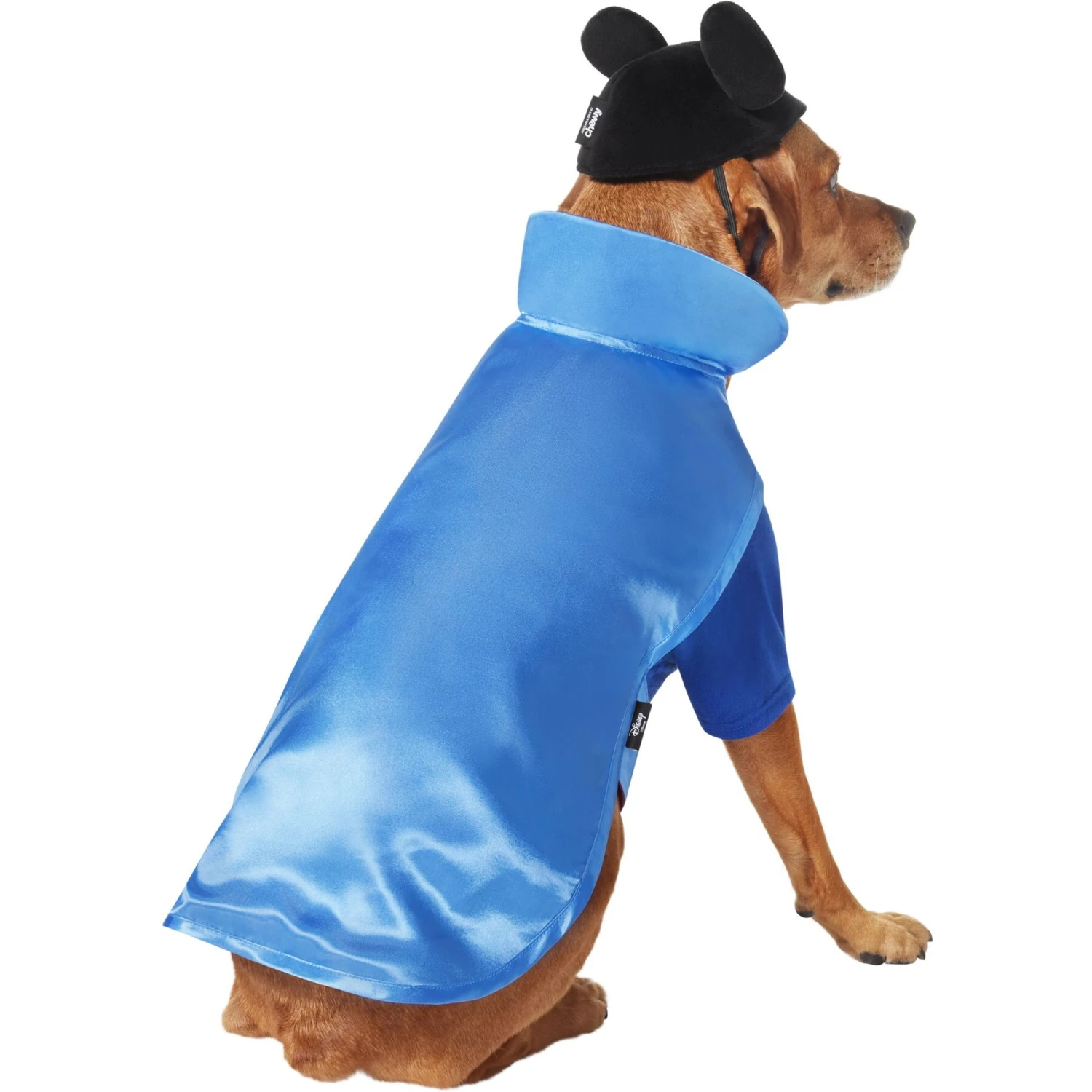 Disney Mickey Mouse Vampire Dog & Cat Costume 5 Disney Mickey Mouse Vampire Dog & Cat Costume - Image 3