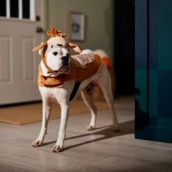 Frisco Deer Dog & Cat Costume -Blue Buffalo || ROYAL CANIN || Wellness Sales 334874 PT7. AC SS1800 V1657720507