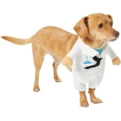Frisco Front Walking Doctor Dog & Cat Costume -Blue Buffalo || ROYAL CANIN || Wellness Sales 334900 PT3. AC SS1800 V1658344549