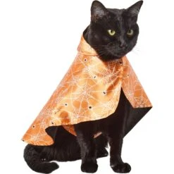Frisco Spider Webbed Dog & Cat Costume Cape -Blue Buffalo || ROYAL CANIN || Wellness Sales 334972 PT2. AC SS1800 V1658348259