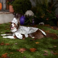 Frisco Seal Dog & Cat Costume -Blue Buffalo || ROYAL CANIN || Wellness Sales 334983 PT7. AC SS1800 V1657730462