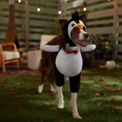 Frisco Front Walking Penguin Dog & Cat Costume 16 Frisco Front Walking Penguin Dog & Cat Costume -Blue Buffalo || ROYAL CANIN || Wellness Sales 335062 PT7. AC SS1800 V1657718971
