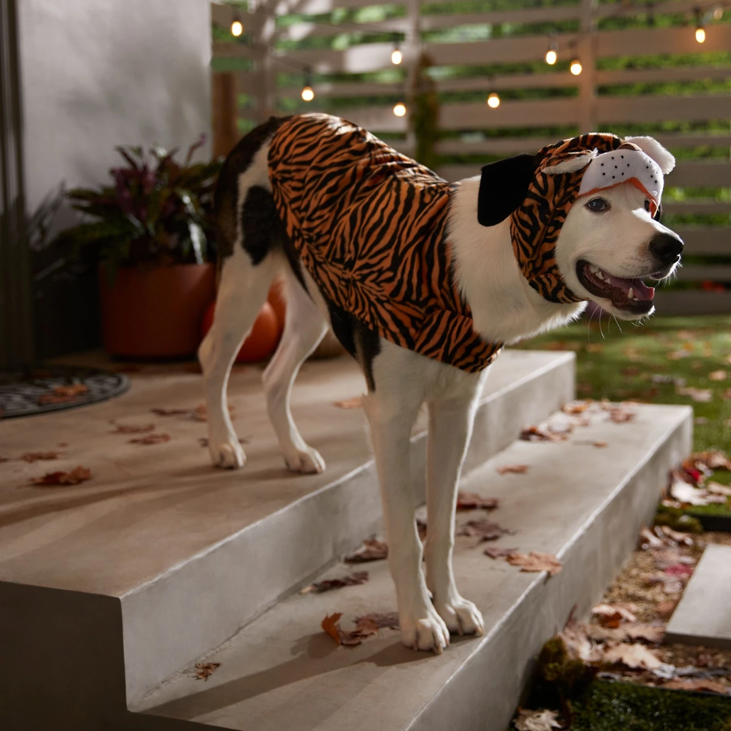 Frisco Tiger Dog & Cat Costume 8 Frisco Tiger Dog & Cat Costume - Image 6