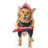 Frisco Front Walking Punk Rocker Dog & Cat Costume -Blue Buffalo || ROYAL CANIN || Wellness Sales 335087 MAIN. AC SS1800 V1658349621