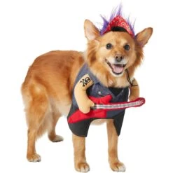Frisco Front Walking Punk Rocker Dog & Cat Costume 13 Frisco Front Walking Punk Rocker Dog & Cat Costume -Blue Buffalo || ROYAL CANIN || Wellness Sales 335087 PT3. AC SS1800 V1658346323