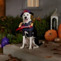 Frisco Front Walking Punk Rocker Dog & Cat Costume 16 Frisco Front Walking Punk Rocker Dog & Cat Costume -Blue Buffalo || ROYAL CANIN || Wellness Sales 335087 PT7. AC SS1800 V1657732627