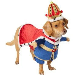 Frisco Front Walking Royal King Dog & Cat Costume -Blue Buffalo || ROYAL CANIN || Wellness Sales 335127 PT3. AC SS1800 V1658346228