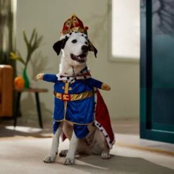 Frisco Front Walking Royal King Dog & Cat Costume -Blue Buffalo || ROYAL CANIN || Wellness Sales 335127 PT7. AC SS1800 V1659037728