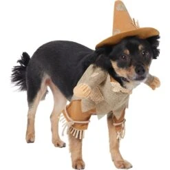 Frisco Front Walking Scarecrow Dog & Cat Costume 13 Frisco Front Walking Scarecrow Dog & Cat Costume -Blue Buffalo || ROYAL CANIN || Wellness Sales 335135 PT3. AC SS1800 V1658349680