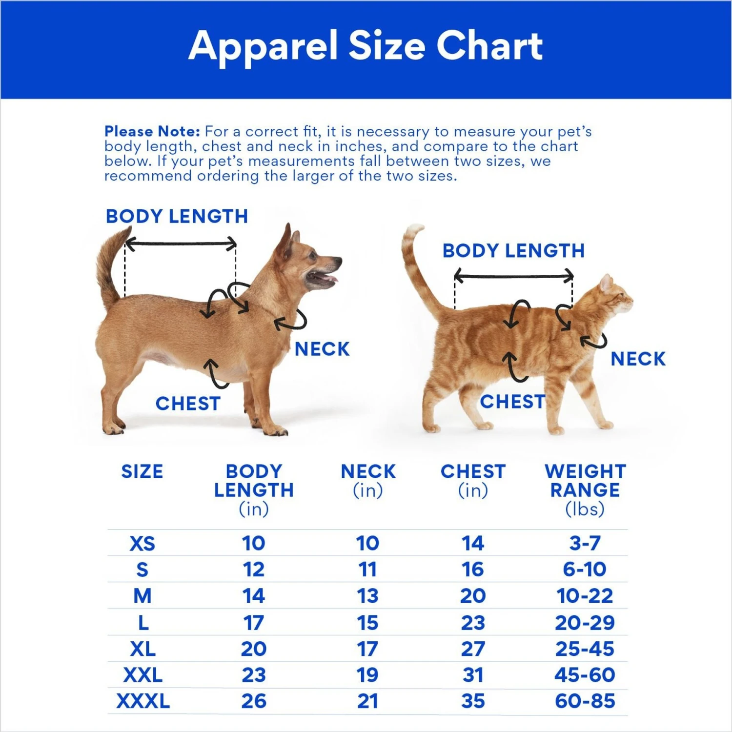 Marvel 's Loki Varient Lightweight Dog & Cat Jacket 4 Marvel 's Loki Varient Lightweight Dog & Cat Jacket - Image 2