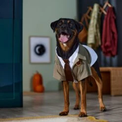 Marvel 's Loki Varient Lightweight Dog & Cat Jacket 13 Marvel 's Loki Varient Lightweight Dog & Cat Jacket -Blue Buffalo || ROYAL CANIN || Wellness Sales 335269 PT8. AC SS1800 V1657656950