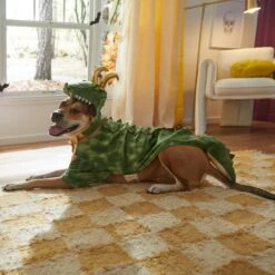 Marvel 's Loki Alligator Dog & Cat Costume 13 Marvel 's Loki Alligator Dog & Cat Costume -Blue Buffalo || ROYAL CANIN || Wellness Sales 335282 PT8. AC SS1800 V1660059836