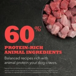 ACANA Red Meat Recipe Grain-Free Dry Dog Food & ACANA Singles Beef & Pumpkin Formula Grain-Free Freeze-Dried Dog Treats -Blue Buffalo || ROYAL CANIN || Wellness Sales 336334 PT3. AC SS1800 V1635897020