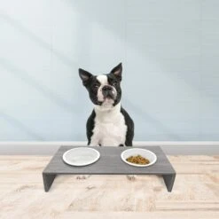 Cosmo Furbabies Double Dog & Cat Diner, Gray -Blue Buffalo || ROYAL CANIN || Wellness Sales 341993 PT5. AC SS1800 V1636063012