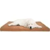 Pet Adobe Foam Covered Dog Bed