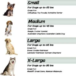 Pet Adobe Foam Covered Dog Bed -Blue Buffalo || ROYAL CANIN || Wellness Sales 344921 PT4. AC SS1800 V1637283704