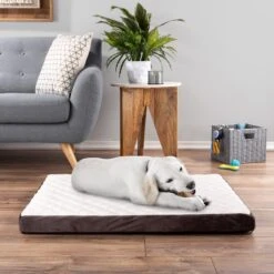 Pet Adobe Bamboo Charcoal-Infused Foam Covered Dog Bed -Blue Buffalo || ROYAL CANIN || Wellness Sales 344923 PT5. AC SS1800 V1637280823