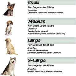 Pet Adobe Memory Foam Waterproof Covered Dog Bed -Blue Buffalo || ROYAL CANIN || Wellness Sales 344966 PT4. AC SS1800 V1637282807