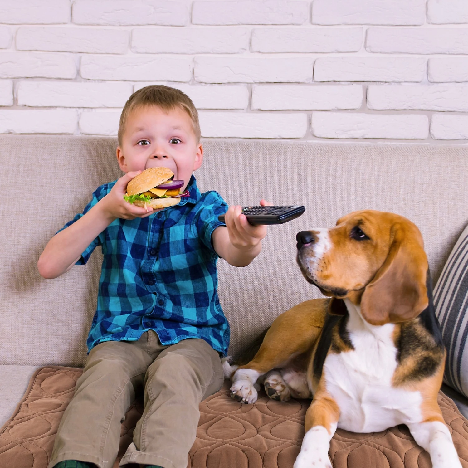 Pet Adobe Furniture Cover & Protector Pad 6 Pet Adobe Furniture Cover & Protector Pad - Image 4