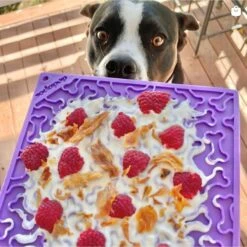 SodaPup Emat Bones Dog Lick Mat 14 SodaPup Emat Bones Dog Lick Mat -Blue Buffalo || ROYAL CANIN || Wellness Sales 346969 PT3. AC SS1800 V1638305499