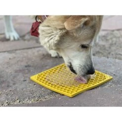 SodaPup Emat Honeycomb Dog Lick Mat -Blue Buffalo || ROYAL CANIN || Wellness Sales 346975 PT7. AC SS1800 V1638316029