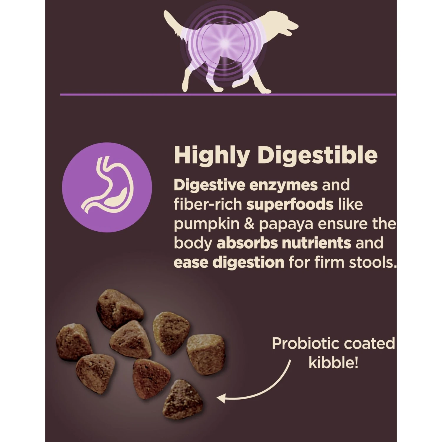 Wellness CORE Digestive Health Age Advantage Senior Chicken & Brown Rice Dry Dog Food 6 Wellness CORE Digestive Health Age Advantage Senior Chicken & Brown Rice Dry Dog Food - Image 4
