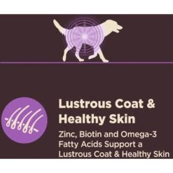 Wellness CORE Digestive Health Age Advantage Senior Chicken & Brown Rice Dry Dog Food 16 Wellness CORE Digestive Health Age Advantage Senior Chicken & Brown Rice Dry Dog Food -Blue Buffalo || ROYAL CANIN || Wellness Sales 347656 PT5. AC SS1800 V1638465861
