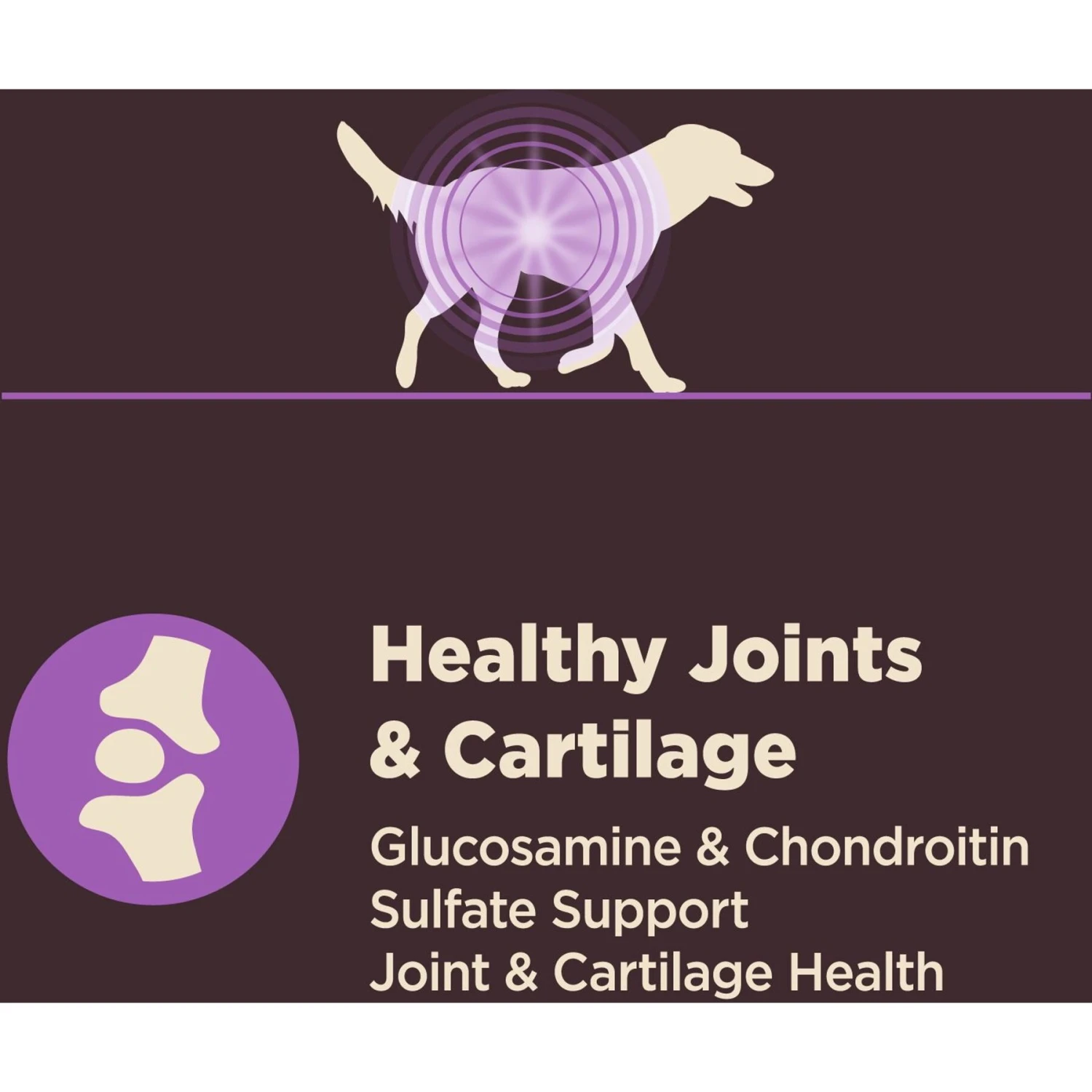 Wellness CORE Digestive Health Age Advantage Senior Chicken & Brown Rice Dry Dog Food 9 Wellness CORE Digestive Health Age Advantage Senior Chicken & Brown Rice Dry Dog Food - Image 7