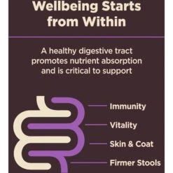 Wellness CORE Digestive Health Age Advantage Senior Chicken & Brown Rice Dry Dog Food 19 Wellness CORE Digestive Health Age Advantage Senior Chicken & Brown Rice Dry Dog Food -Blue Buffalo || ROYAL CANIN || Wellness Sales 347656 PT8. AC SS1800 V1638466045