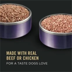 Purina Pro Plan Sport Development Puppy High Protein Beef & Rice Entrée & Chicken & Rice Entrée Variety Pack Wet Dog Food, 13-oz Can, Case Of 12 -Blue Buffalo || ROYAL CANIN || Wellness Sales 352976 PT2. AC SS1800 V1638470832