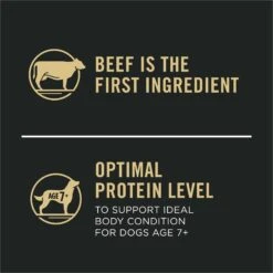 Purina Pro Plan 7+ Complete Essentials Shredded Blend Beef & Rice Formula High Protein Dog Food -Blue Buffalo || ROYAL CANIN || Wellness Sales 352980 PT6. AC SS1800 V1649201226