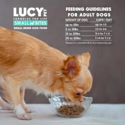 Lucy Pet Products Salmon, Pumpkin & Quinoa Small Bites Dog Food, 4.5-lbs Bag -Blue Buffalo || ROYAL CANIN || Wellness Sales 353155 PT5. AC SS1800 V1641587242