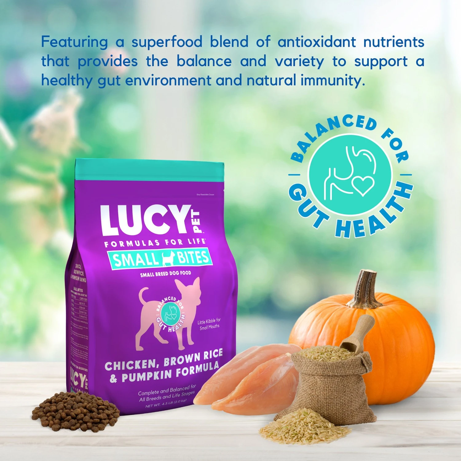 Lucy Pet Products Chicken, Brown Rice & Pumpkin Limited Ingredient Diet Small Bites Dog Food, 4.5-lbs Bag 5 Lucy Pet Products Chicken, Brown Rice & Pumpkin Limited Ingredient Diet Small Bites Dog Food, 4.5-lbs Bag - Image 3