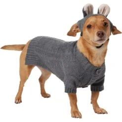 Frisco Bunny Hooded Dog & Cat Sweater -Blue Buffalo || ROYAL CANIN || Wellness Sales 353571 PT2. AC SS1800 V1659006936