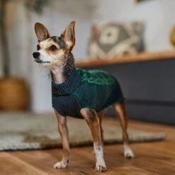 Frisco Multi Cable Dog & Cat Sweater -Blue Buffalo || ROYAL CANIN || Wellness Sales 353628 PT7. AC SS1800 V1660749923