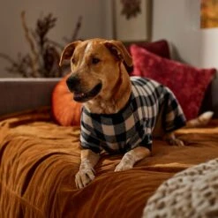Frisco Plaid Dog & Cat Fleece Pajamas 12 Frisco Plaid Dog & Cat Fleece Pajamas -Blue Buffalo || ROYAL CANIN || Wellness Sales 353755 PT6. AC SS1800 V1660749967