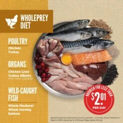 ORIJEN Amazing Grains Puppy Dry Dog Food -Blue Buffalo || ROYAL CANIN || Wellness Sales 354068 PT3. AC SS1800 V1639146927