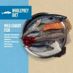 ORIJEN Amazing Grains Six Fish Recipe Dry Dog Food -Blue Buffalo || ROYAL CANIN || Wellness Sales 354080 PT2. AC SS1800 V1639147327