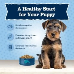 Blue Buffalo Baby Blue Healthy Growth Formula Natural Chicken & Brown Rice Recipe Puppy Dry Food -Blue Buffalo || ROYAL CANIN || Wellness Sales 354131 PT3. AC SS1800 V1704319768
