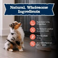 Blue Buffalo Baby Blue Large Breed Healthy Growth Formula Natural Chicken & Brown Rice Recipe Puppy Dry Food, 24-lb Bag -Blue Buffalo || ROYAL CANIN || Wellness Sales 354132 PT5. AC SS1800 V1646091698