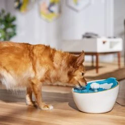 Frisco Ceramic Clouds Dog & Cat Fountain -Blue Buffalo || ROYAL CANIN || Wellness Sales 355803 PT4. AC SS1800 V1665684810