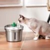 Frisco Stainless Steel Cactus & Leaf Dog & Cat Fountain 1 Frisco Stainless Steel Cactus & Leaf Dog & Cat Fountain -Blue Buffalo || ROYAL CANIN || Wellness Sales 355814 MAIN. AC SS1800 V1665684257