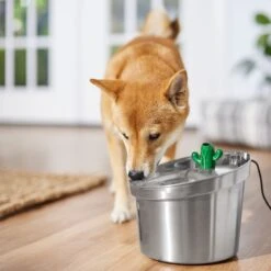 Frisco Stainless Steel Cactus & Leaf Dog & Cat Fountain 14 Frisco Stainless Steel Cactus & Leaf Dog & Cat Fountain -Blue Buffalo || ROYAL CANIN || Wellness Sales 355814 PT5. AC SS1800 V1665683869