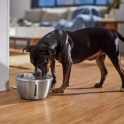 Frisco Stainless Steel Heart Dog & Cat Fountain 14 Frisco Stainless Steel Heart Dog & Cat Fountain -Blue Buffalo || ROYAL CANIN || Wellness Sales 355816 PT5. AC SS1800 V1665684540