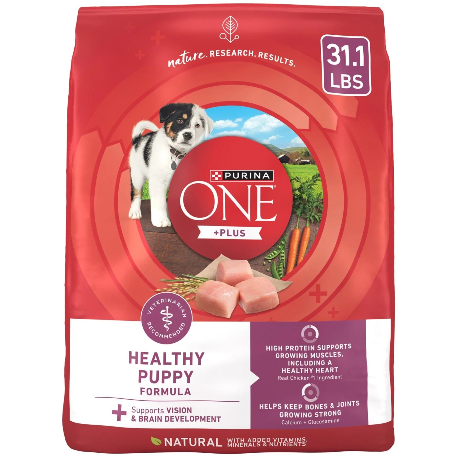 Purina ONE +Plus High Protein Healthy Puppy Formula Dry Puppy Food 3 Purina ONE +Plus High Protein Healthy Puppy Formula Dry Puppy Food